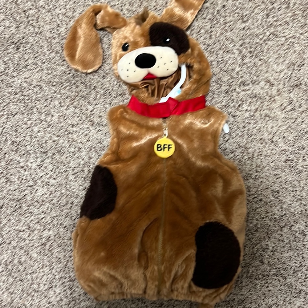 Dog costume. 18 months